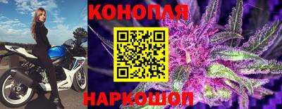 Альфа ПВП Керчь